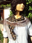 Foulard fantaisie 5
